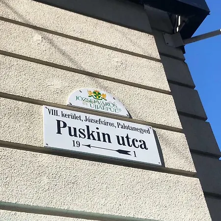 A9 Houseleek Astoria *