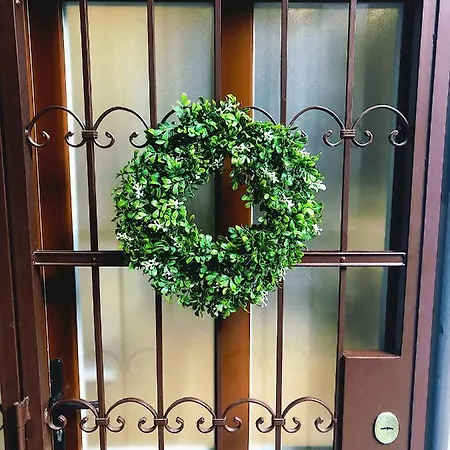 A9 Houseleek Astoria * Budapest