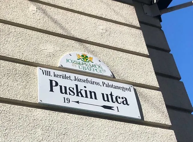 A9 Houseleek Astoria *