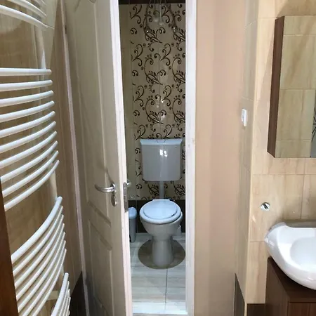 A9 Houseleek Astoria Budapest