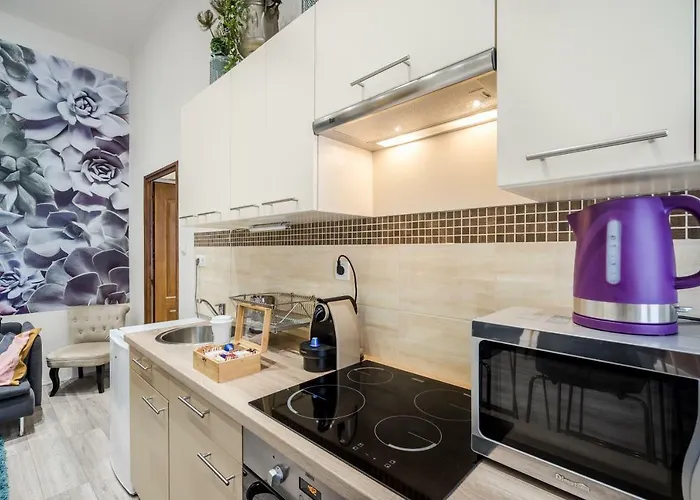 Lägenhet A9 Houseleek Astoria Budapest